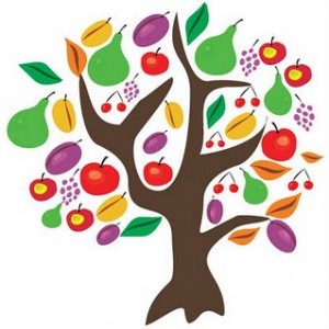 Tu B'Shevat is the Jewish celebration for the new year of the trees or fruit trees.