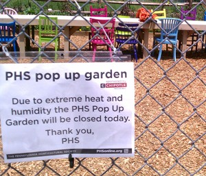 Green Gossip: It’s TOO Hot for the PHS Pop-Up Garden