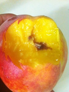 farmers market fruit isn't always perfect, just like this peach..