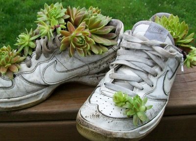 Recycle Your Old Sneakers: WCI Wednesday update