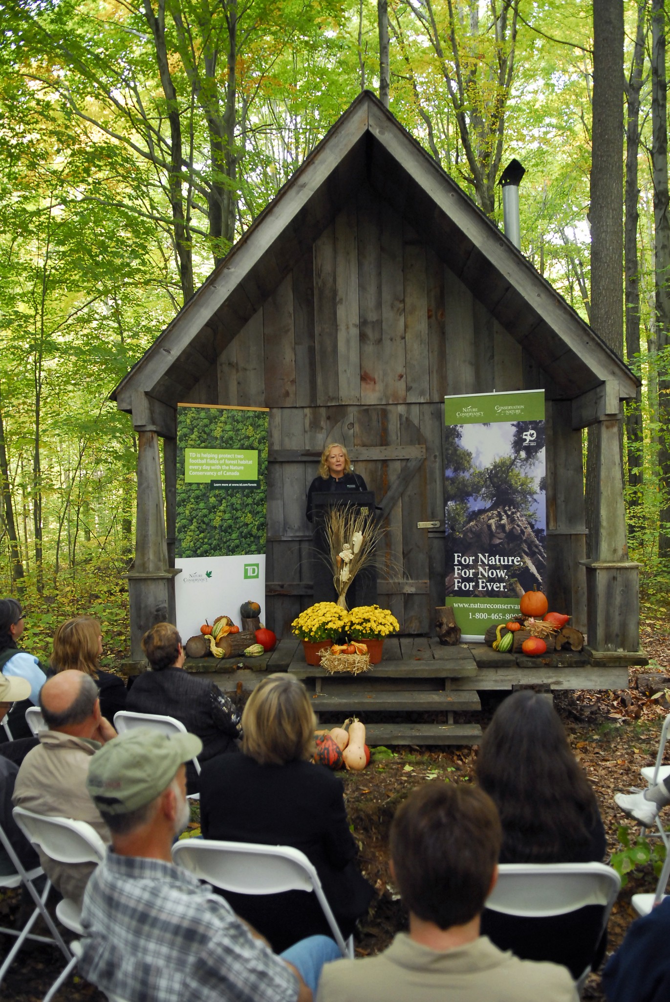 TD Bank Protects Forests in Sustainability Missions