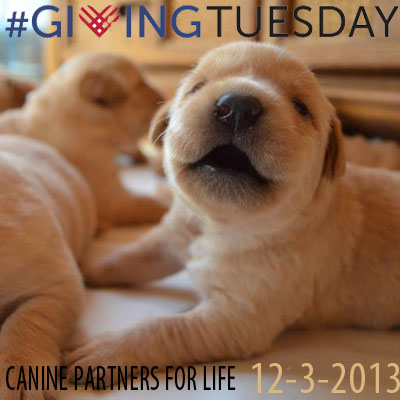 canine partners for life giving tuesday
