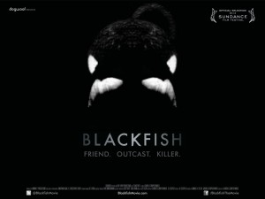 Dogwoof_Blackfish_Documentary 