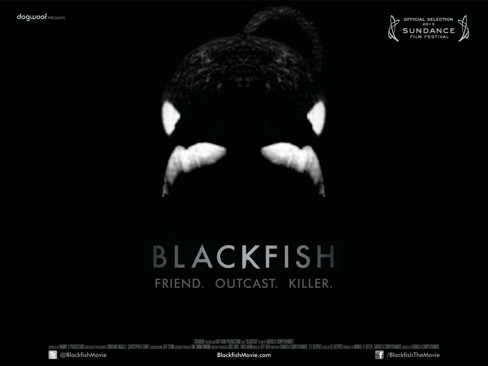 SeaWorld in Jeopardy After Blackfish Popularity