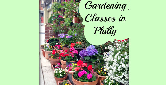 Where to Take Gardening Classes in Philadelphia – WCI Weds