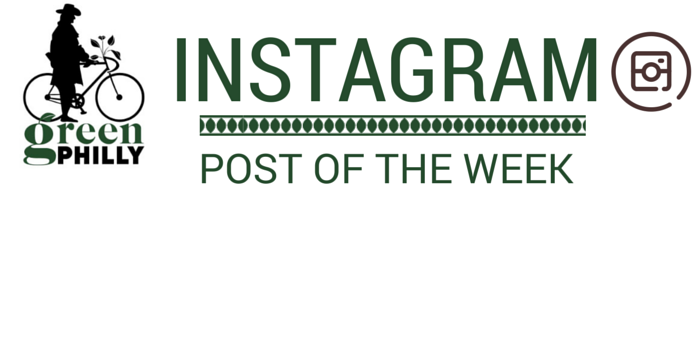 Instagram Post of the Week: Franklin Institute Rain Gardens