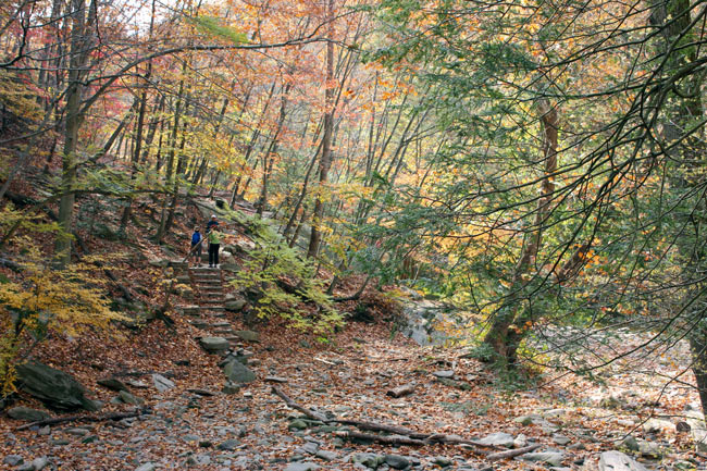 Hike wissahickon trails philadelphia pa