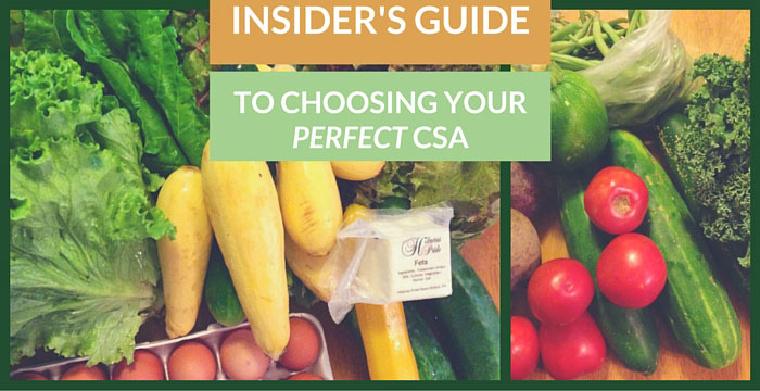 Insider’s Guide: Find out Which Local CSA is PERFECT For You