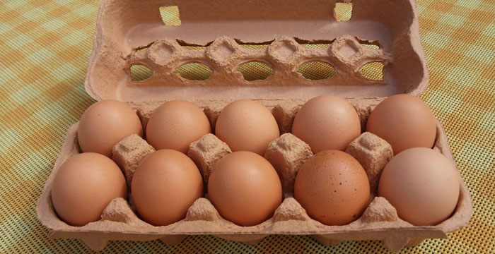 Can You Recycle Egg Cartons in Philadelphia