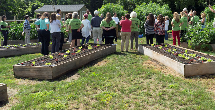 Saint Gobain Donates 100% of Employee-Grown Produce to Local Food Bank