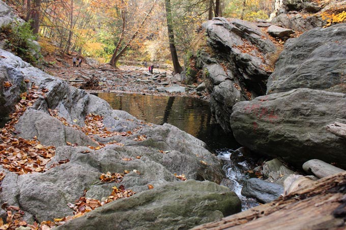 Need to get outdoors? Try Hiking 50+ Miles of the Wissahickon