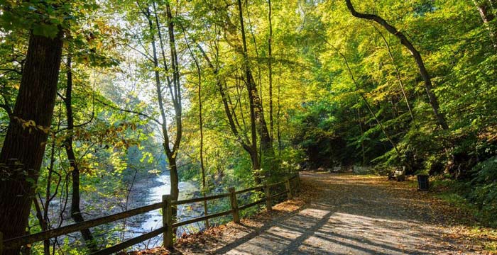 Wissahickon’s Forbidden Drive is 2018 Trail of the Year
