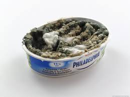 Philly Mold 