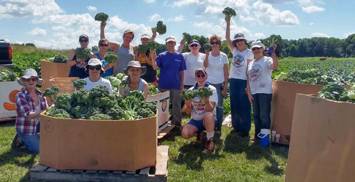 Rolling Harvest Food Rescue: The New Face of Hunger