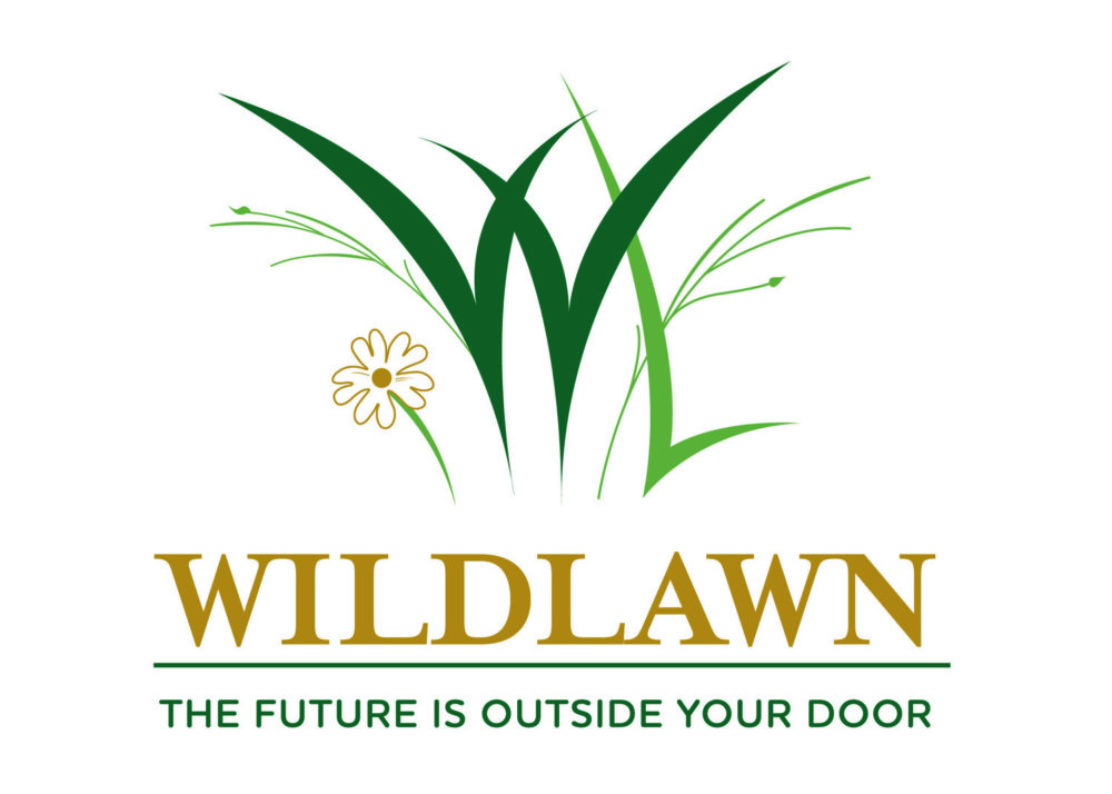 WildLawn Green Philly wildlawn-green-philly