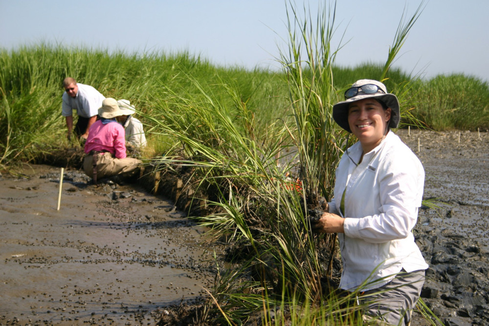 Watershed heroes: Meet Angela Padeletti, Operations Director of the Partnership of the Delaware Estuary