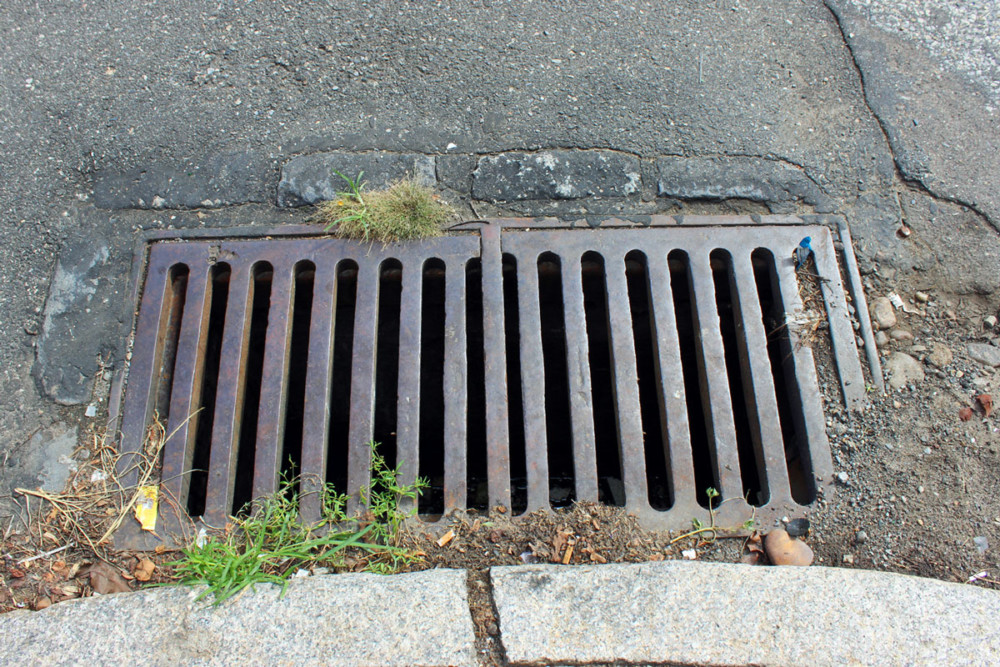 Eco-Explainer: What can go down a storm drain? Short answer – Nothing.