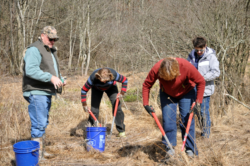 GSI on campus: Bucknell & Susquehanna planted forest buffers