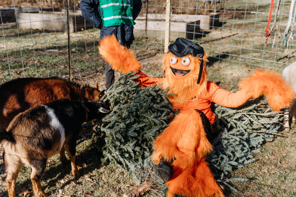 Where to Recycle your Christmas Tree in Philadelphia 2022 update