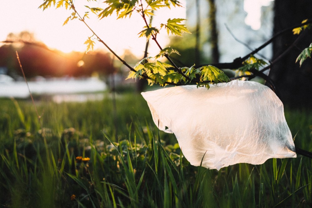 Plastic Bag Ban “officially” begins April 1st