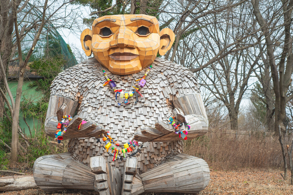Recycled art trolls, noise pollution, heritage trees at risk & more