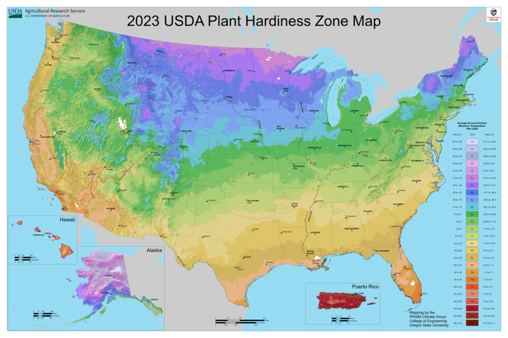 USDA hardiness map 2023